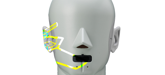 Head and torso simulator HATS 5128